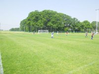 IMGP0812